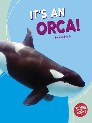 cover image of It's an Orca!